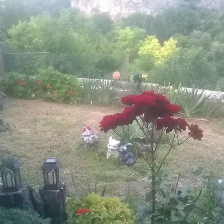 Kyshta Za Gosti Stella *
